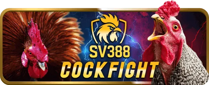 Câu hỏi thường gặp về 888to casino
